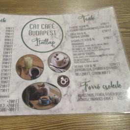 Cat Café - Révay utca Budapest - Egyéb
