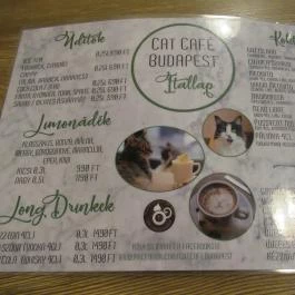 Cat Café - Révay utca Budapest - Egyéb