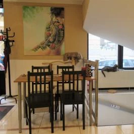 Cat Café - Révay utca Budapest - Egyéb