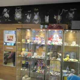 Cat Café - Révay utca Budapest - Egyéb