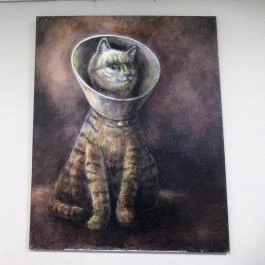 Cat Café - Révay utca Budapest - Egyéb