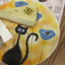 Cat Café - Révay utca Budapest - Egyéb