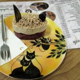 Cat Café - Révay utca Budapest - Egyéb