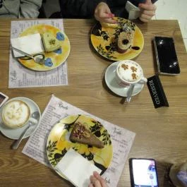 Cat Café - Révay utca Budapest - Egyéb