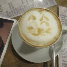 Cat Café - Révay utca Budapest - Egyéb