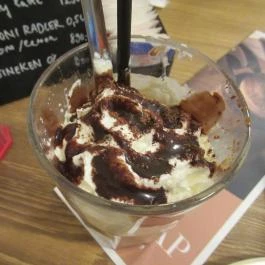 Cat Café - Révay utca Budapest - Egyéb