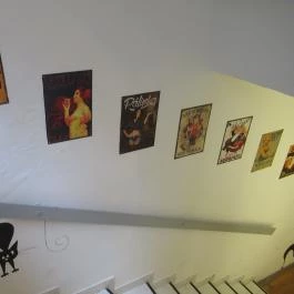 Cat Café - Révay utca Budapest - Egyéb