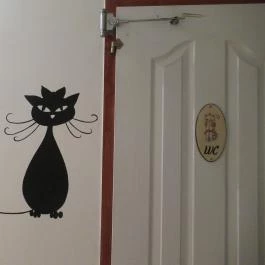 Cat Café - Révay utca Budapest - Egyéb