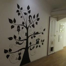 Cat Café - Révay utca Budapest - Egyéb