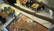 Cat Café - Révay utca Budapest - Egyéb