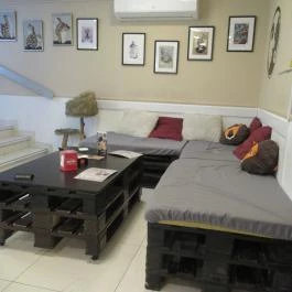 Cat Café - Révay utca Budapest - Egyéb