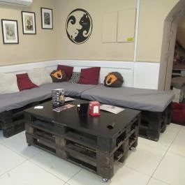 Cat Café - Révay utca Budapest - Egyéb