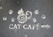 Cat Café - Révay utca Budapest