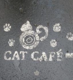 Cat Café - Révay utca