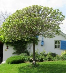 Catherine's Cottages