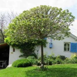 Catherine's Cottages, Csákberény - Külső kép