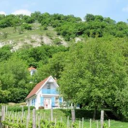 Catherine's Cottages Csákberény - Külső kép