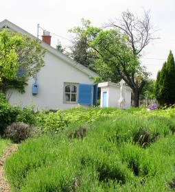 Catherine's Cottages