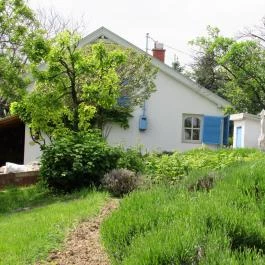 Catherine's Cottages Csákberény - Külső kép