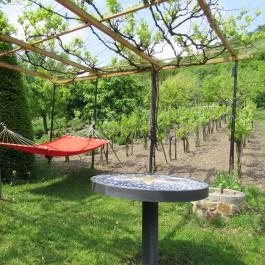 Catherine's Cottages, Csákberény - Medence/kert