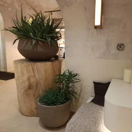 SALT Bakery & CAUSE - Zrínyi utca Budapest - Belső