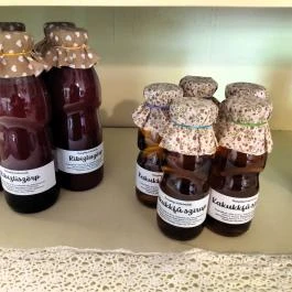 Cellarius - Tatai Kincsesház Tata - Egyéb