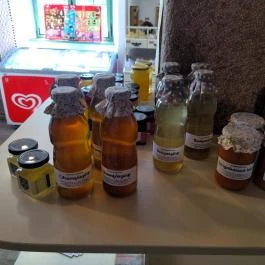 Cellarius - Tatai Kincsesház Tata - Egyéb