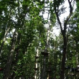 Challengeland Kalandpálya Budapest - Egyéb