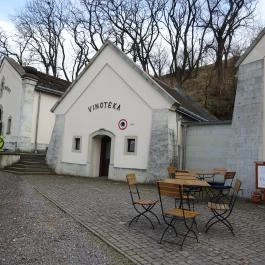 Chateau Dereszla Bodrogkeresztúr - Külső kép