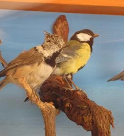 Bechtold István Természetvédelmi Látogatóközpont