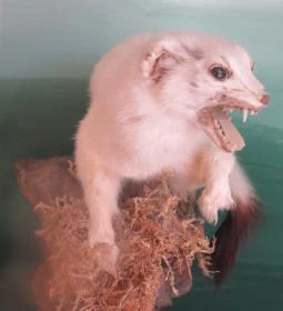 Bechtold István Természetvédelmi Látogatóközpont