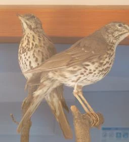 Bechtold István Természetvédelmi Látogatóközpont