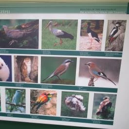 Bechtold István Természetvédelmi Látogatóközpont, Kőszeg - 