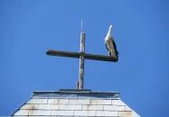 Chernel-kert Kőszeg