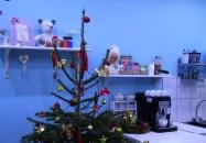 Cherry Orchard Szláv Cukrászda Budapest