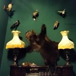 Churchill Bar Gourmet Budapest - Belső