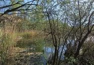 Cinkotai bányató Budapest