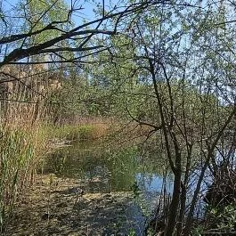 Cinkotai bányató Budapest - Külső kép