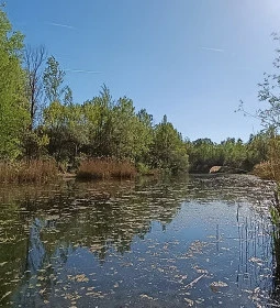 Cinkotai bányató 