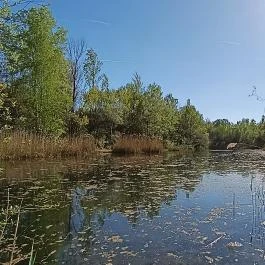 Cinkotai bányató Budapest - Külső kép