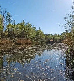 Cinkotai bányató 