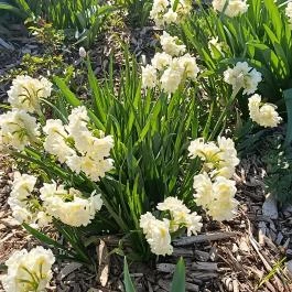 Citadella, Budapest - Külső kép