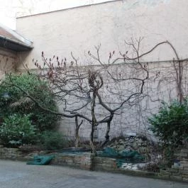 Classic Café Szerb Étterem & Grillkert Szeged - Egyéb