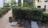 Coffee Bean Kávézó - Váci út Budapest - Külső kép
