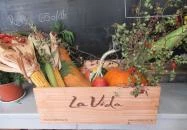 Coffee & More Visegrád