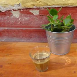 Coffee Stand Gutenberg Budapest - Belső