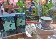 Coffeeshop Company - Árkád Budapest