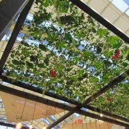 Coffeine Store & Co. - Árkád Budapest - Belső