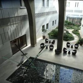 Continental Hotel Budapest Budapest - Medence/kert