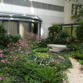 Continental Hotel Budapest Budapest - Külső kép